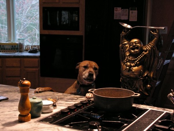 Punkin loved to be my Sous Chef and Taste Tester.